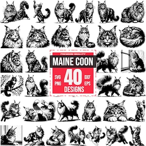 Maine Coon SVG Bundle | 40 Majestic Cat Designs | Feline Silhouette, Pet Clipart, Cricut and Laser Cut
