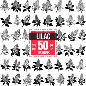 Lilac Svg Bundle, Lilac svg, Lilac png, Lilac dxf, Lilac Clipart, Lilac Vector, Lilac Outline, Garden Flower, Romantic Flower, Elegant Lilac