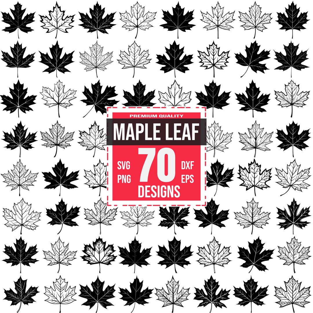 Maple Leaf Svg Bundle, Canadian Maple Leaf, Maple Leaf Png, Maple Leaf ...