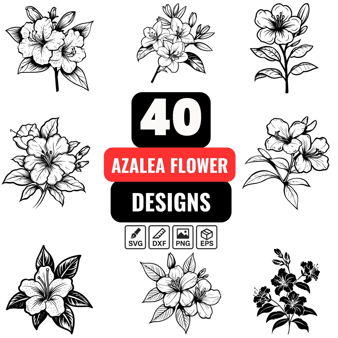 Azalea Flower Svg Bundle, Azalea Drawing, Eps Azalea Design, Azalea ...