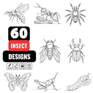 May include: A collection of black and white line drawings of insects, such as a bee, ant, spider, fly, beetle, butterfly, grasshopper, and caterpillar. The image includes the text "60 INSECT DESIGNS" in a black and red design, with file type icons below.