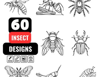 Insect lijntekeningen SVG-bundel | 60 insecten één lijntekening clipart | Cricut-ontwerpen met doorlopende lijn | Vlinder, bij, kever, mier, spin;