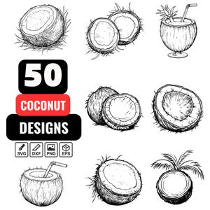 Coconut SVG Bundle, 50 Tropical Coconut Clipart Designs,Hand Drawn Coconut Fruit,Exotic Summer Png Dxf Eps designs for Cricut and Silhouette