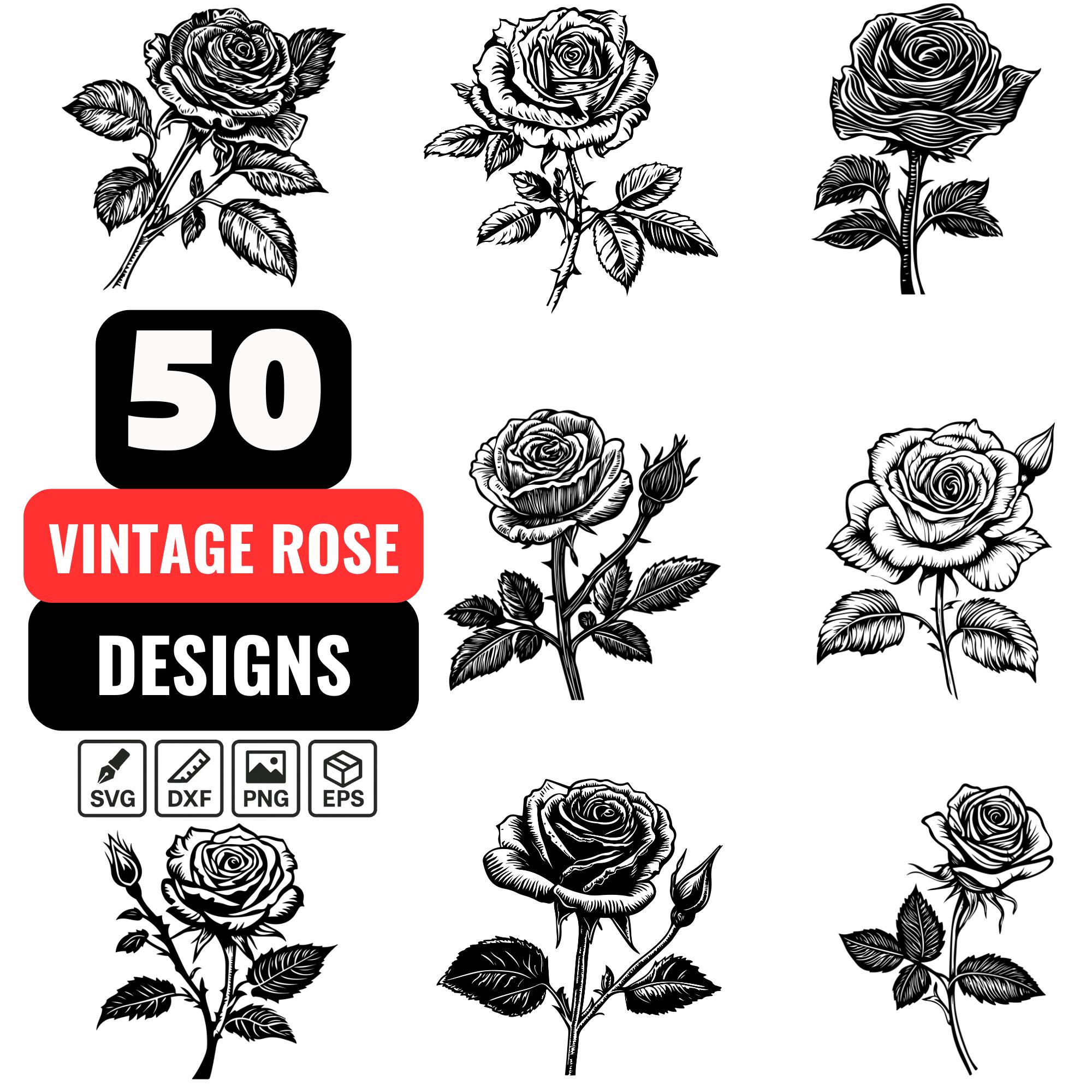 50 Vintage Rose SVG Bundle | Antique Floral Clipart PNG | Old Style ...
