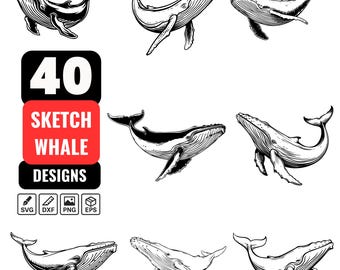 Whale SVG Bundle, 40 Sketch Whale Designs, Humpback Whale, Whale Line Art, Whale PNG, Sea Life Illustration for Cricut,Sublimation, Stickers