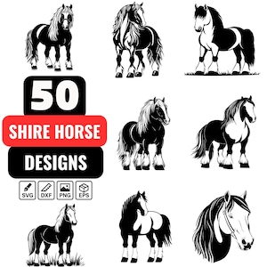 Shire Horse Svg Bundle, Shire Horse png, Shire Horse dxf, Draft Horse svg, Shire Horse Vector, Equestrian svg, Shire Horse Outline