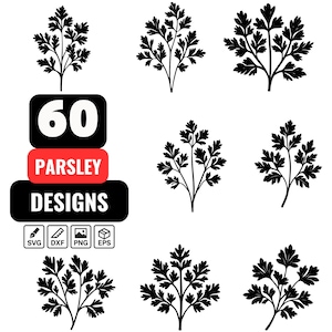 Pakiet SVG z pietruszką, Sztuka botaniczna, Projekt ziół w formacie PNG, Zioła kulinarne w formacie SVG, Zioła ogrodowe w formacie PNG, Liść pietruszki w formacie PNG, Motyw kulinarny, Organiczna pietruszka w formacie SVG