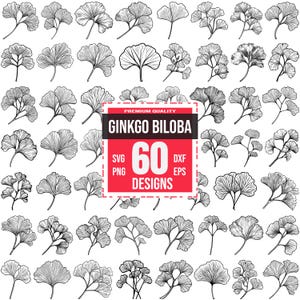 May include: A set of 60 black and white line drawings of ginkgo biloba leaves. The leaves are in various shapes and sizes, and some have stems. The text "PREMIUM QUALITY GINKGO BILOBA 60 DESIGNS SVG PNG DXF EPS" is in a red box.