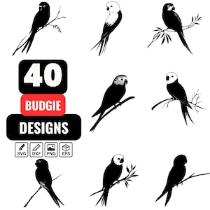Budgie SVG Bundle, 40 Parakeet Bird Silhouette and Line Art Designs, Budgerigar Vector Clipart