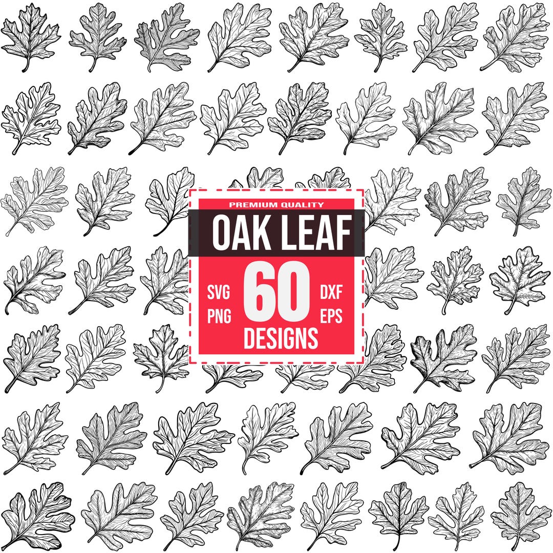 Oak Leaf Svg Bundle, Oak Leaf Png, Oak Leaf Dxf, Oak Leaf Eps, Oak Tree ...