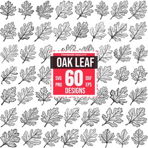 May include: A collection of 60 oak leaf designs in SVG, PNG, DXF, and EPS formats. The leaves are black and white line drawings, arranged in a grid pattern. The text "OAK LEAF" is displayed in a red and black rectangle.