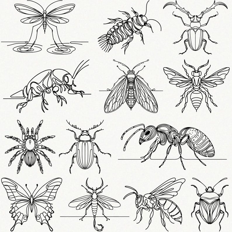 Fineliner Insects Insect Line Art SVG Bundle | 60 Insect One Line Drawing Clipart ...