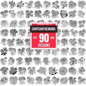 Chrysanthemums Svg Bundle, Garden Flower svg, Botanical svg, Chrysanthemum dxf, Chrysanthemum png, Chrysanthemum Vector
