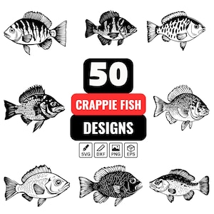 Crappie Fish SVG Bundle: Freshwater Fishing Vector Graphics