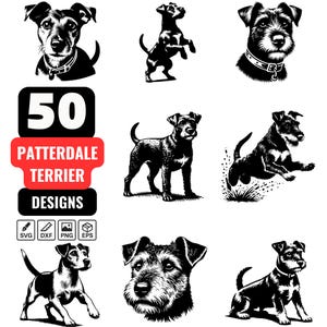 50 Detailed Patterdale Terrier SVG Designs Bundle Featuring Realistic and Artistic Dog Illustrations for DIY Projects and Crafts