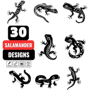 Salamander SVG Bundle, 30 Cute and Detailed Salamander Vector Illustrations, Amphibian Clipart for Cricut and Silhouette