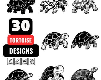 Tortoise Svg Bundle, Tortoise png, Tortoise Clipart, Giant Tortoise, Land Turtle, Reptile Designs for Cricut, Silhouette, and DIY Projects