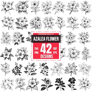 Azalee Blume, Azalee Zeichnung, eps Azalee Design, Azalee Blume png, Azalee Blume dxf, Botanische Blume svg, Azalee Aufkleber