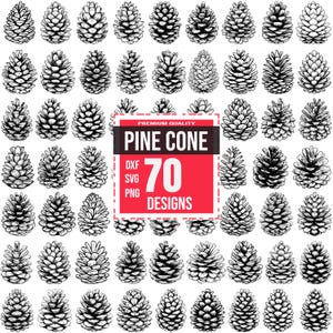 Pine Cone SVG Bundle, Pine cone clipart, Pine cone Png, Pine cone Dxf, Pine cone Eps, Woodland Svg, Forest Svg, Pine cone vector