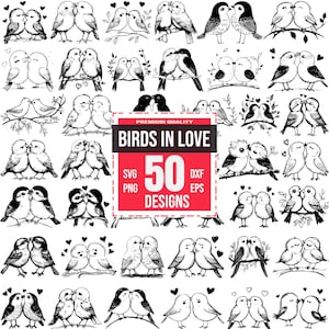 Paquete de pájaros enamorados Svg, pájaros enamorados png, pájaros besándose svg, pájaros del amor svg, pájaros románticos svg, pájaros y corazón svg, pájaros lindos svg