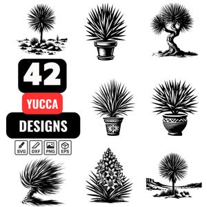 Yucca SVG Bundle, 42 Desert Plant & Yucca Tree Clipart, Cactus and Succulent PNG, Botanical Vector for Cricut, Silhouette, Printable Art