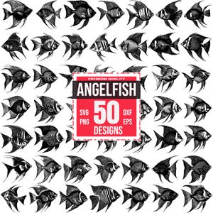 Angelfish Svg Bundle, Angelfish png, Tropical Fish svg, Angelfish Clipart, Angelfish Vector, Angelfish Illustration, Exotic Fish svg