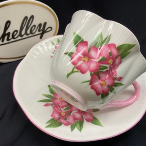 Shelley Pink Dainty Oleander Tea Cup Set  Shipping Cost is in U.S. Only
