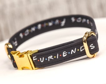 friends dog collar