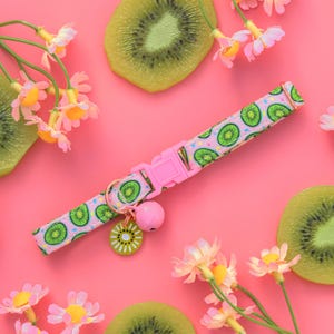 Kiwi Cat Collar with Bell and Charm, Breakaway Cat Kiwi Collar, Cute Female Cat Breakaway Collar, Retro Groovy Kitten Collar, Fancy Collar