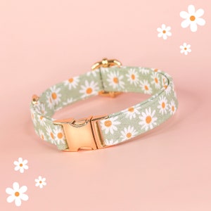 Sage Green Daisy Dog Collar, Cute Floral Dog Collar, Custom Girl Dog Collar, Fancy Dog Collar with Daisies, Designer Flower Small Dog Collar