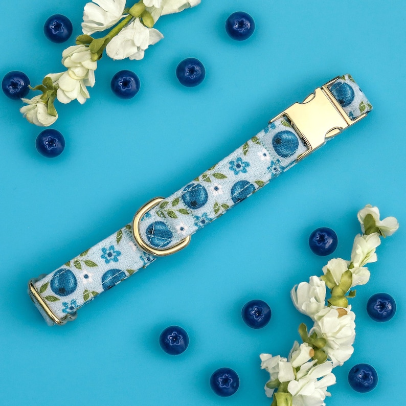 Floral Blueberry Dog Collar, Cute Summer Fruit Dog Collar, Cottagecore Custom Dog Collar, Small Girl Dog Collar, Large Customized Pet Collar image 1