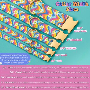 a variety of colorful cat collars in different sizes, ranging from 1/2" to 1" wide, with gold-colored metal rings. The collars are arranged in a row, showcasing the different widths available for customers to choose from.
