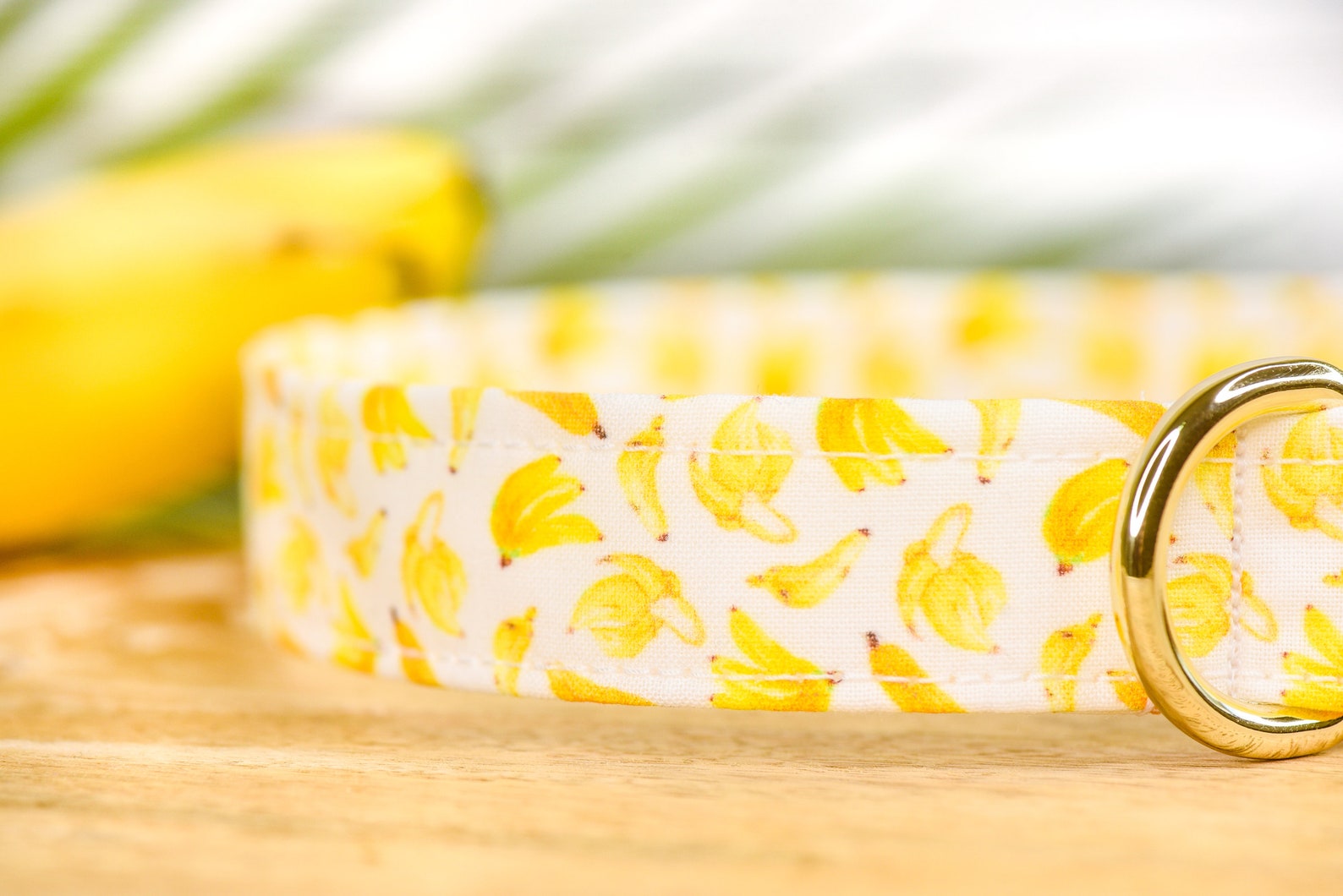 Banana Dog Collar BANANAS Fruit Pet Etsy