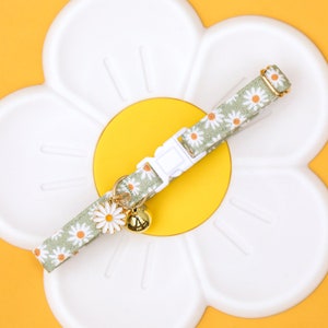 May include: A green and white daisy print cat collar with a gold bell charm. The collar is on a white daisy-shaped background.