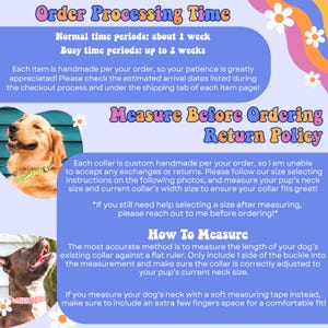 The image is a colorful and informative order processing guide for a pet store, featuring images of dogs wearing collars and instructions on how to measure a dog's neck for a collar.