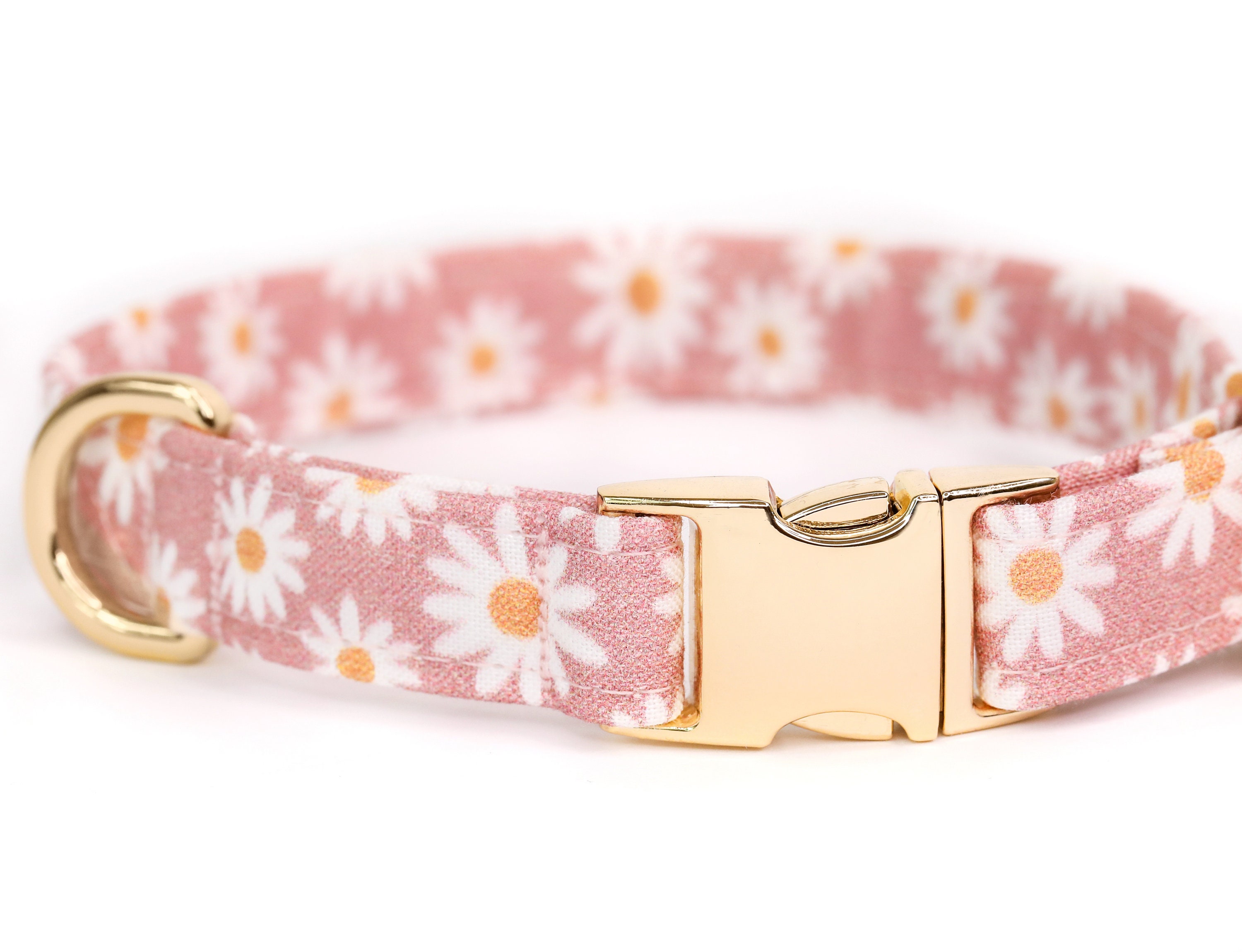 Customized Dog Collar, Adjustable Small Medium Large, Cute Girl Female  Summer Spring Pretty Designer Puppy, Floral White Daisy