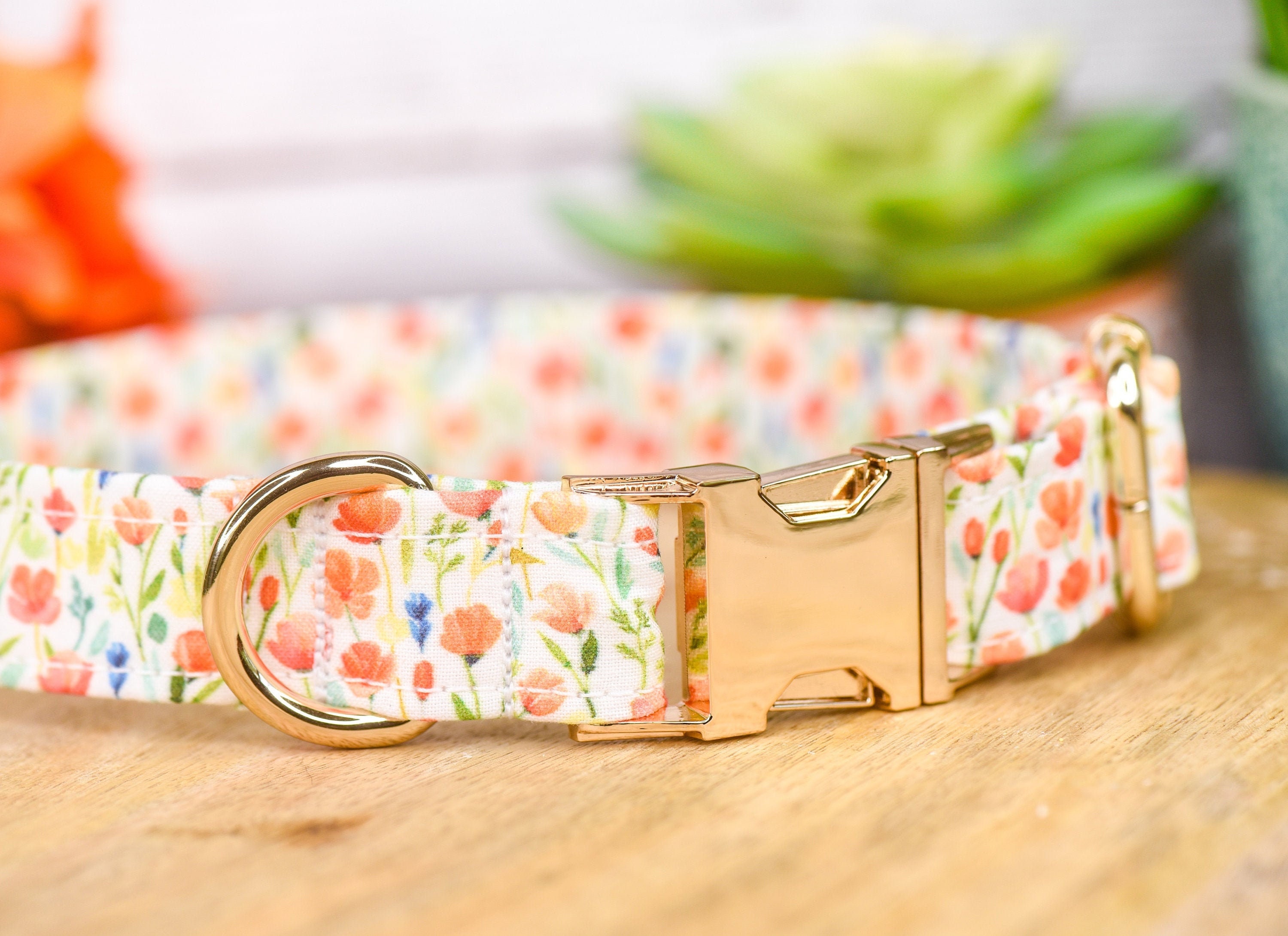 Poppy Dog Collar Poppy Colorful Floral Pet Etsy