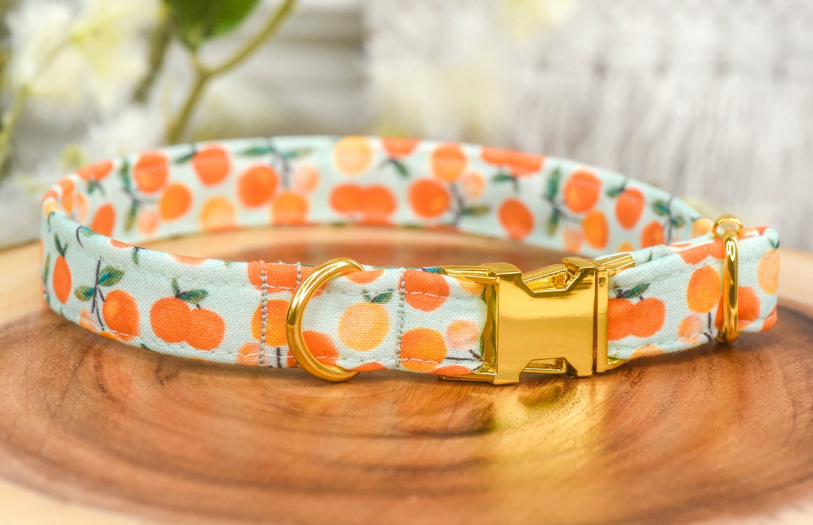 Clementine Dog Collar Cute Dog Collar with Clementines Etsy