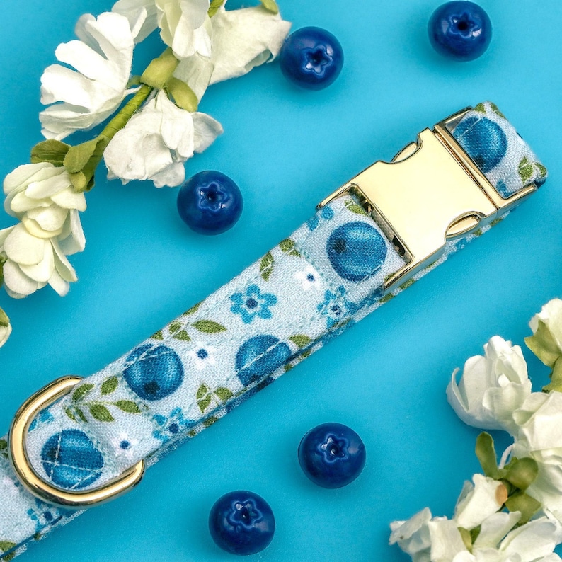 Floral Blueberry Dog Collar, Cute Summer Fruit Dog Collar, Cottagecore Custom Dog Collar, Small Girl Dog Collar, Large Customized Pet Collar image 3