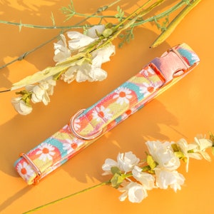 Retro Daisy Dog Collar, Groovy Rainbow Summer Dog Collar, Adjustable Girl Puppy Collar, Customized Floral Dog Collar, Thin Female Dog Collar