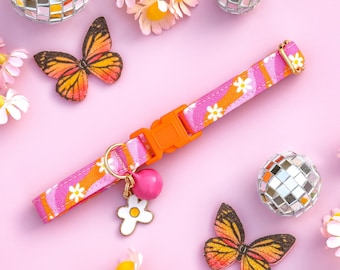 May include: A pink and orange patterned dog collar with a daisy charm and a pink bell. The collar is on a pink background with disco balls and flowers.