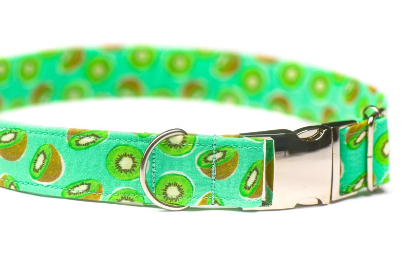 Kiwi Dog Collar Cute Cat Collar Designer Dog Collar Fruit Etsy