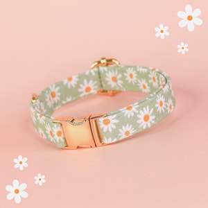 Sage Green Daisy Dog Collar, Cute Floral Dog Collar, Custom Girl Dog Collar, Fancy Dog Collar with Daisies, Designer Flower Small Dog Collar image 1