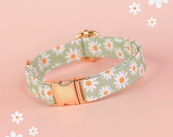 Sage Green Daisy Dog Collar, Cute Floral Dog Collar, Custom Girl Dog Collar, Fancy Dog Collar with Daisies, Designer Flower Small Dog Collar