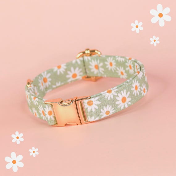 Sage Green Daisy Dog Collar, Cute Floral Dog Collar, Custom Girl Dog Collar, Fancy Dog Collar with Daisies, Designer Flower Small Dog Collar