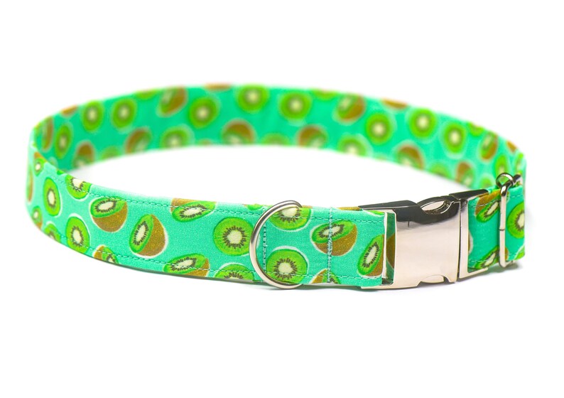 Kiwi Dog Collar Cute Cat Collar Designer Dog Collar Fruit Etsy