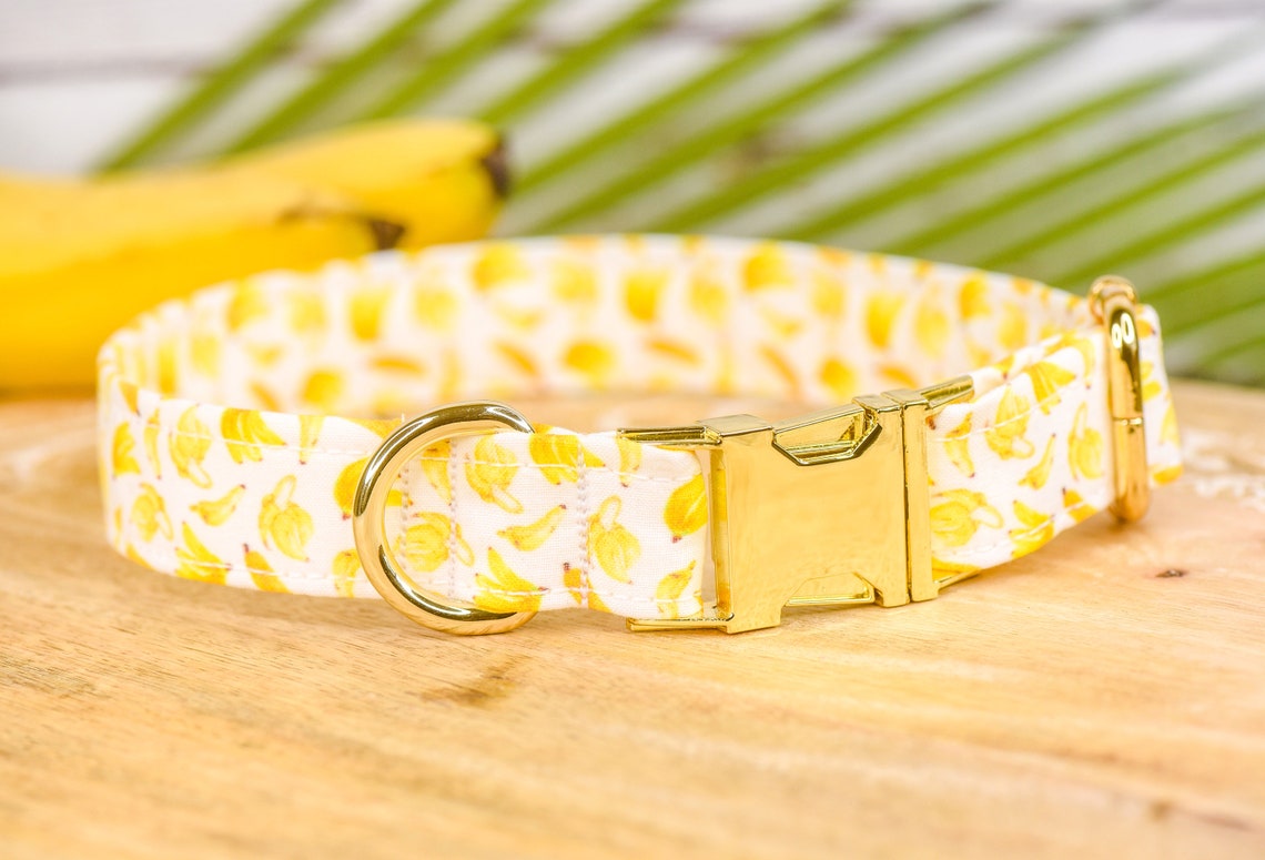 Banana Dog Collar BANANAS Fruit Pet Etsy