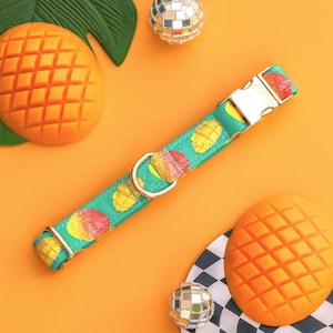 Mango Dog Collar, Cute Fruit Custom Dog Collar, Tropical Dog Collar with Mangoes, Fancy Designer Boy Dog Collar, Small Thin Puppy Collar