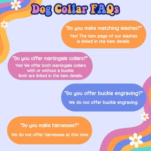 a series of questions about dog collar options, including whether to offer martingale collars, buckle engraving, and harnesses. The questions are presented in a clear and concise manner, without redundancy or vague wording.