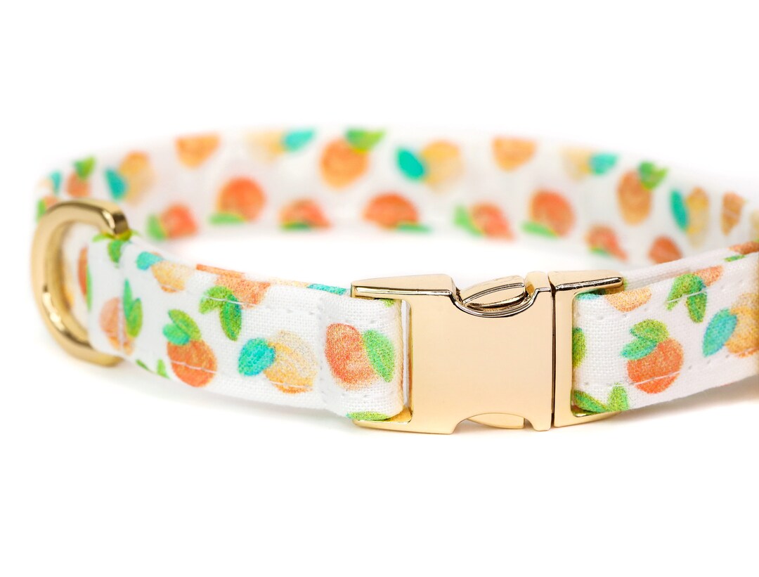 Peach Dog Collar Cute Peaches Dog Collar Fruit Custom Dog Etsy